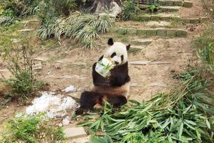 徐静雨：哈登一身肌肉一点都不胖 后背像钢铁一样